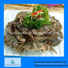 Frozen iqf mud crab en venta